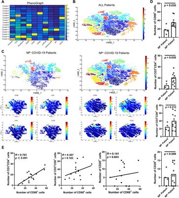 Spatial immune landscapes of SARS-CoV-2 gastrointestinal infection: macrophages contribute to local tissue inflammation and gastrointestinal symptoms
